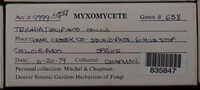 Image Associated With the Occurence